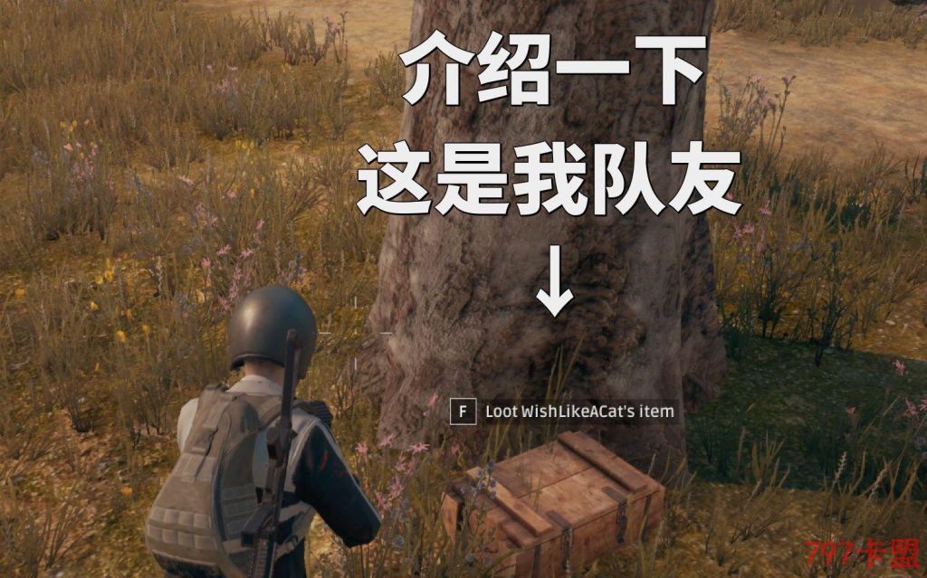 游戏当中的栅栏都是可以撞破的，你知道吗？