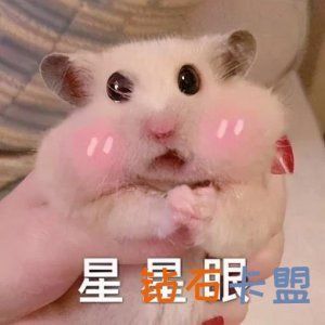 《CF手游体验服》资格招募将于11月11日零晨点开启
