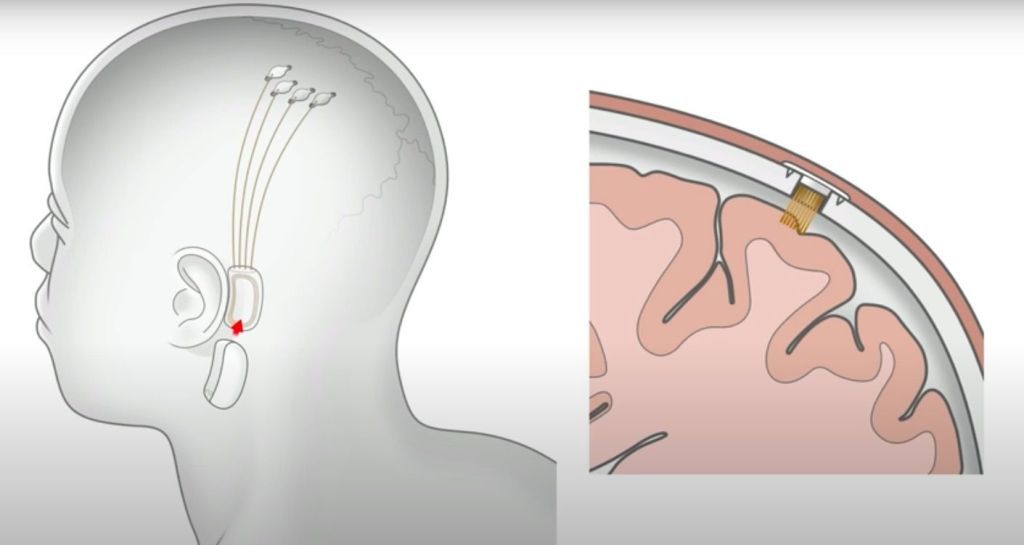 科学家通过人工智能可以让机器更像人，反过来