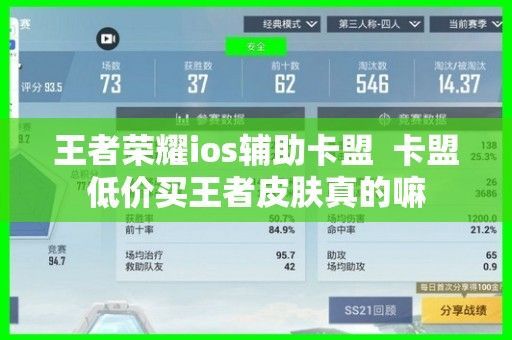 卡盟能刷王者荣耀点券吗？也玩了一段