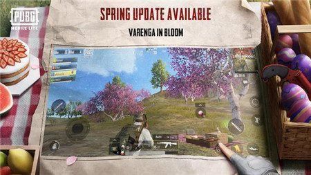免费永久透视挂，玩转和平精英，亮点全揭秘