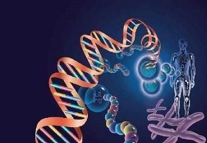 人类制造的复杂机器和自然界生命体相比的话