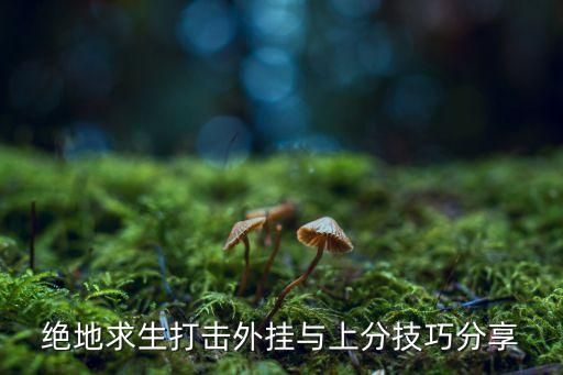 手机透视，怎么打牌？吃鸡透视外挂大行其道