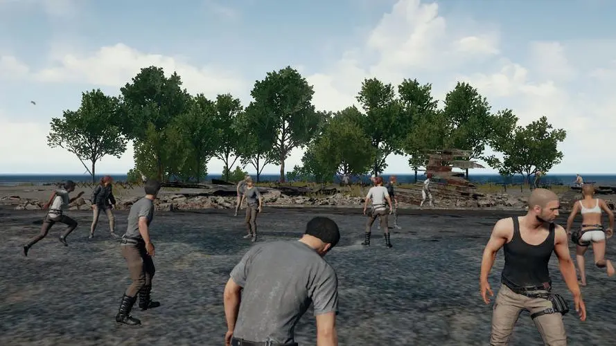 PUBG国际服自瞄锁头子追内存辅助游戏介绍