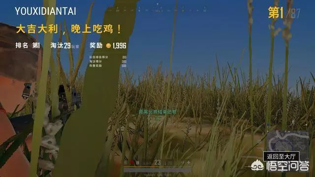 《绝地求生：刺激战场》中都有些什么枪械？