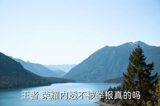 王者荣耀Map透视内向和画画区别大吗？