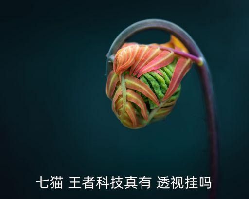 王者荣耀Map透视内向和画画区别大吗？