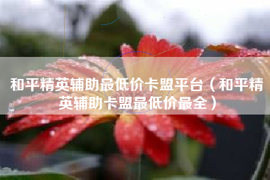 限时特惠！和平精英柚子除草卡密火爆抢购中