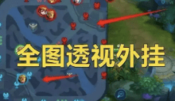 王者荣耀：小地图透视对游戏公平性和玩家体验的影响