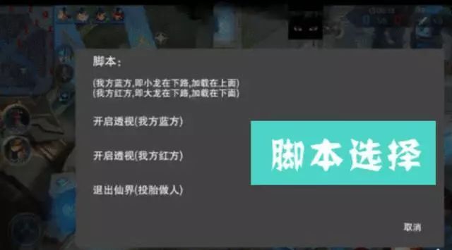 王者荣耀：游戏中还遇到过哪些外挂？你知道吗？
