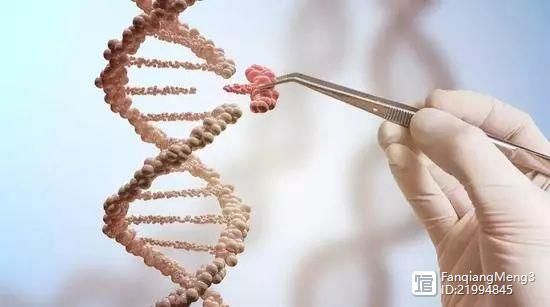 全球最具影响力的10个云计算企业，你造吗？