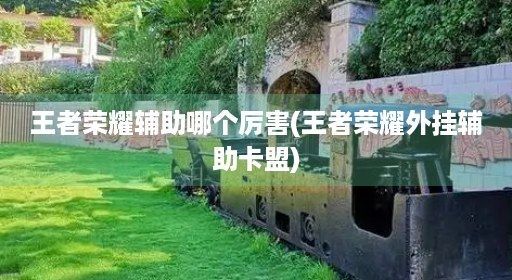 王者能力荣耀中神器哪个辅助英雄值得买谁的？