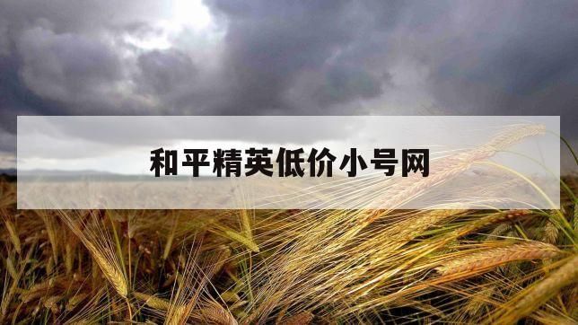 （9786摘要）和平精英微信科技购买系统详细分析答案
