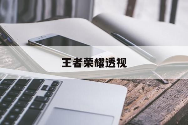 王者荣耀透视内透和绘制区别非常大先来说