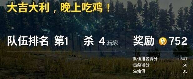 外挂网站 吃鸡也要讲基本法不然小心被坑一些差友们应该听说过