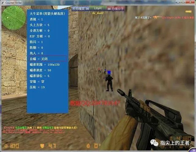 王者荣耀透视