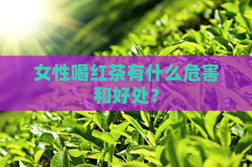 英雄联盟脚本
