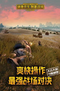 绝地求生刺激战场辅助工具揭秘：真实效果与风险并存