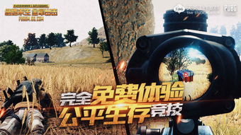 绝地求生卡盟黑猫警长：揭秘背后的故事与影响