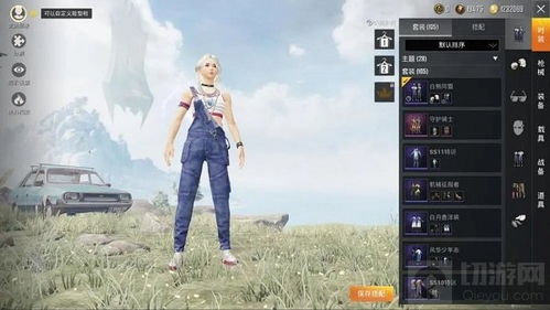 CSGO白熊管匹单板投视辅助：游戏利器还是争议焦点？