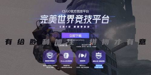 深入评测：CSGO辅助工具5E版，哪家品牌更胜一筹？