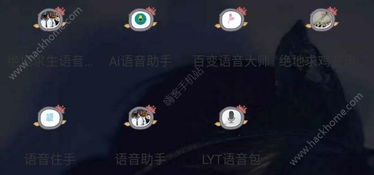 绝地求生辅助工具使用指南：轻松提升游戏体验