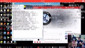 揭秘CSGO多功能大陀螺辅助免费版：功能强大，使用须知