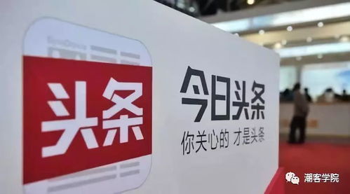 揭秘低价卡盟网站：风险与机遇并存
