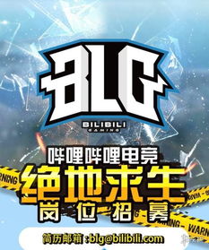 《卡盟市场探秘：低价绝地求生游戏资源的魅力与风险》