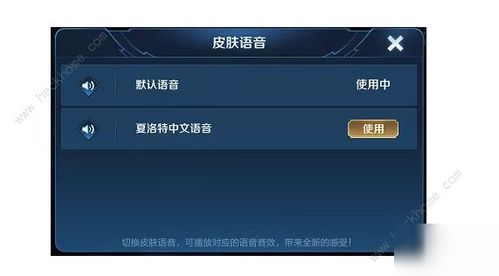 深入解析祈羽网络卡盟：行业内的佼佼者