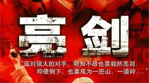 揭秘李云龙卡盟账户密码：安全防护与使用指南