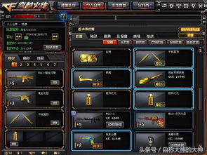 辅助CF，我的热爱与追求