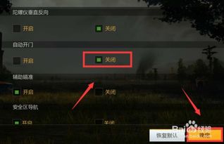 绝地求生自动开门辅助工具揭秘：利弊分析及使用技巧