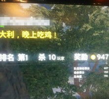 绝地求生瘟疫辅助卡盟：揭秘游戏辅助市场的灰色地带