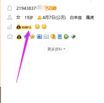 【卡盟最便宜的快手业务：揭秘低成本内容营销的秘密武器】