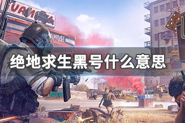 【绝地求生】“黑号”之谜：揭秘游戏账号被黑的真相与应对策略