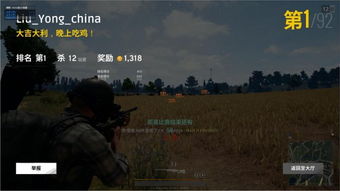 揭秘绝地求生辅助：免费与付费，哪个才是游戏胜利的“利器”？