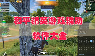 【西西辅助，助力和平精英玩家免费畅玩？揭秘辅助工具的利与弊】