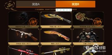 穿越火线王者轮回：揭秘辅助装备的奥秘与使用指南