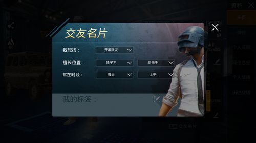 绝地求生卡盟全网最低价揭秘：如何以实惠价格畅享游戏体验？