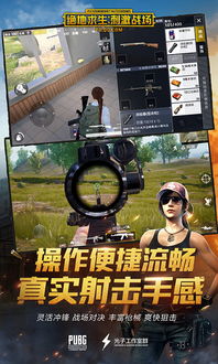 绝地求生刺激战场辅助揭秘：揭秘作弊手段，维护公平竞技环境