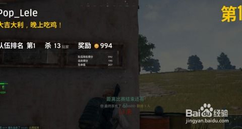 绝地求生辅助工具揭秘：揭秘外挂背后的真相与应对策略