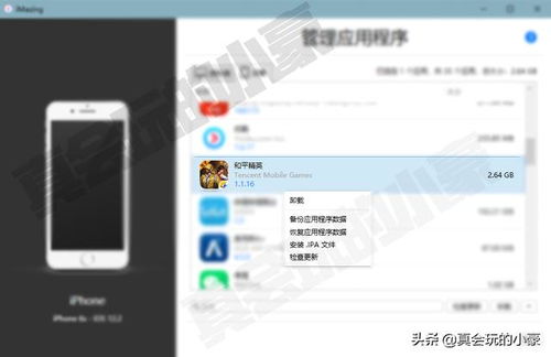 《和平精英iOS辅助软件：揭秘其利弊，如何安全使用？》