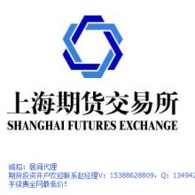 揭秘子宸卡盟：网络资讯新时代的佼佼者？