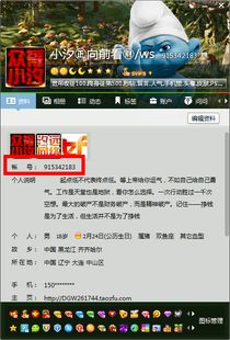 揭秘玄神卡盟：数字娱乐新势力如何引领潮流？