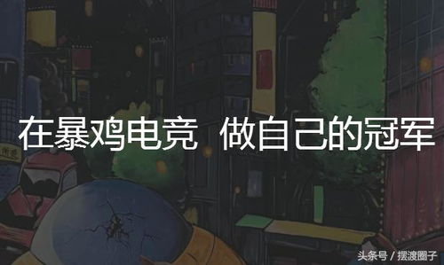 卡盟绝地求生杜甫：揭秘电竞行业新势力，助力游戏玩家迈向巅峰