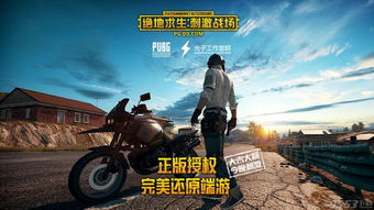 《绝地求生辅助官网揭秘：揭秘游戏辅助工具的灰色地带》（主关键词：绝地求生辅助官网）