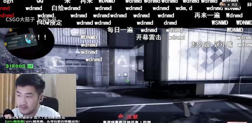 《揭秘CSGO辅助论坛：揭秘作弊背后的行业真相与玩家对策》