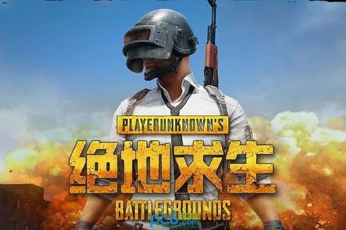 绝地求生小二卡盟：揭秘虚拟市场的“隐形王者”