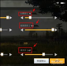 绝地求生中的声音辅助：揭秘声音在游戏中的神秘力量